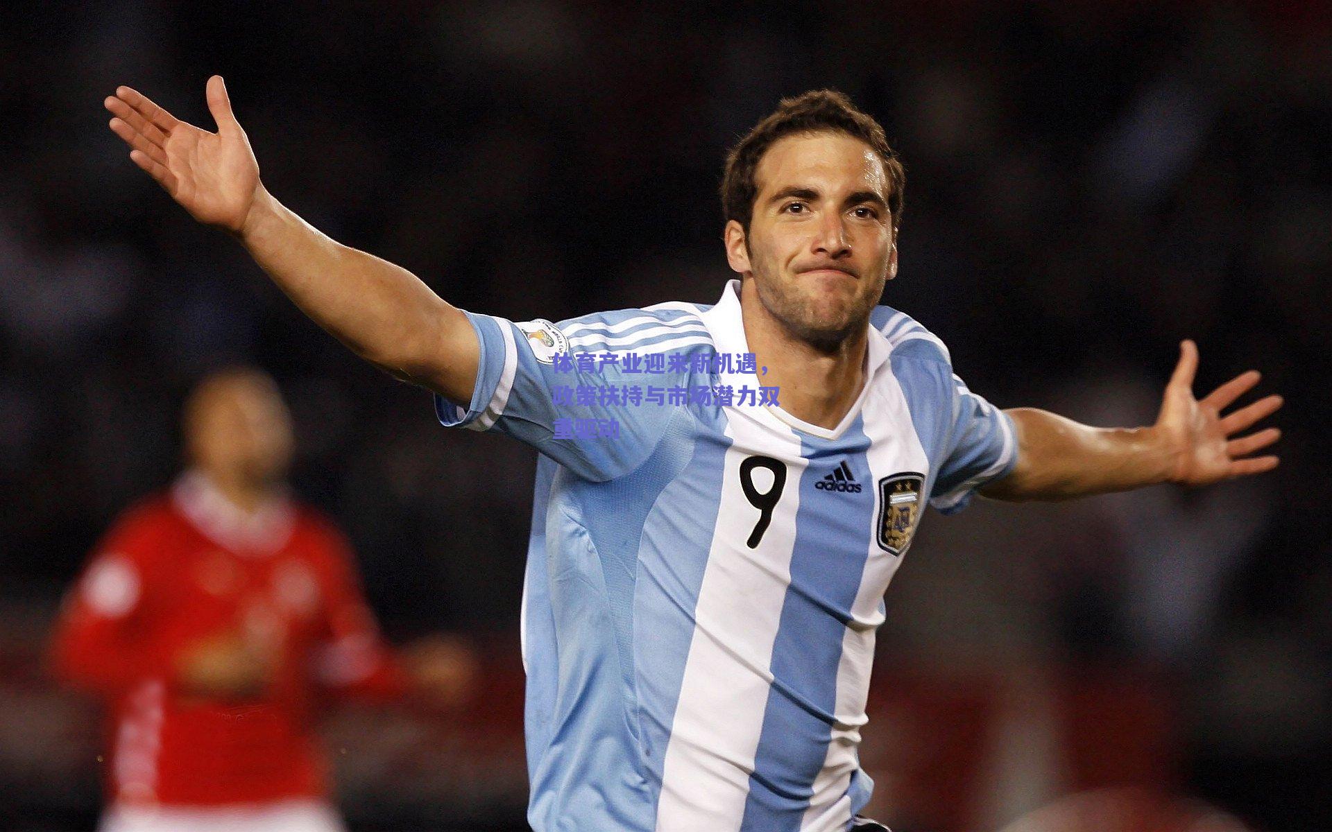 体育产业迎来新机遇，政策扶持与市场潜力双重驱动